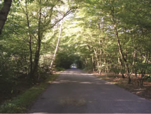 One of the roads in the parish
